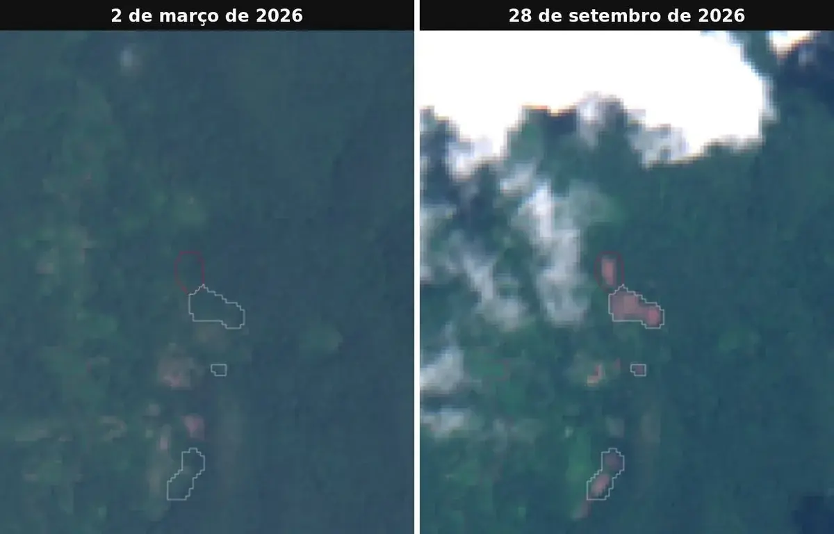 Área entre Homoxi e Maraxiu, perto de Surucucu, em 2 de março e em 28 de setembro de 2026